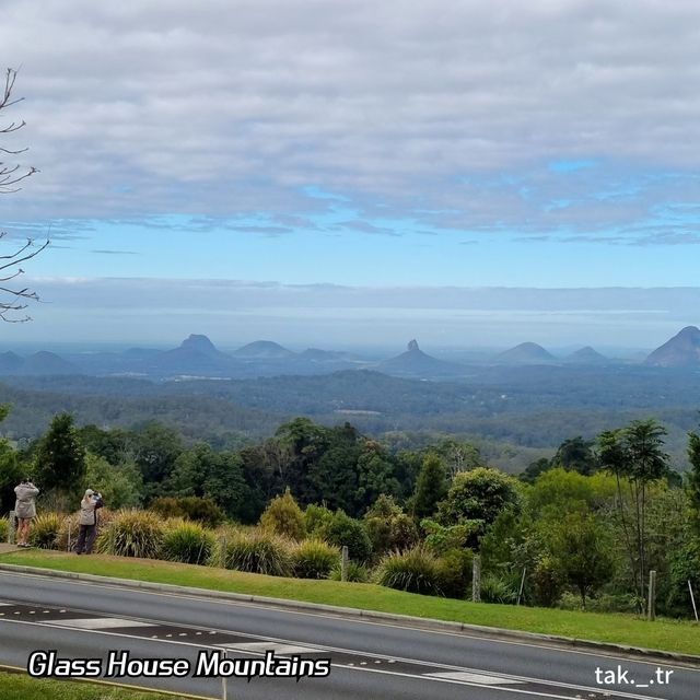 호주 선샤인코스트 Glass House Mountains🇦🇺