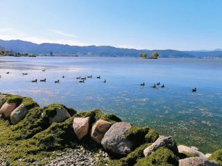 수와 호수 (Suwa Lake)