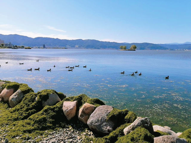 Suwa Lake (ทะเลสาบซูวะ)