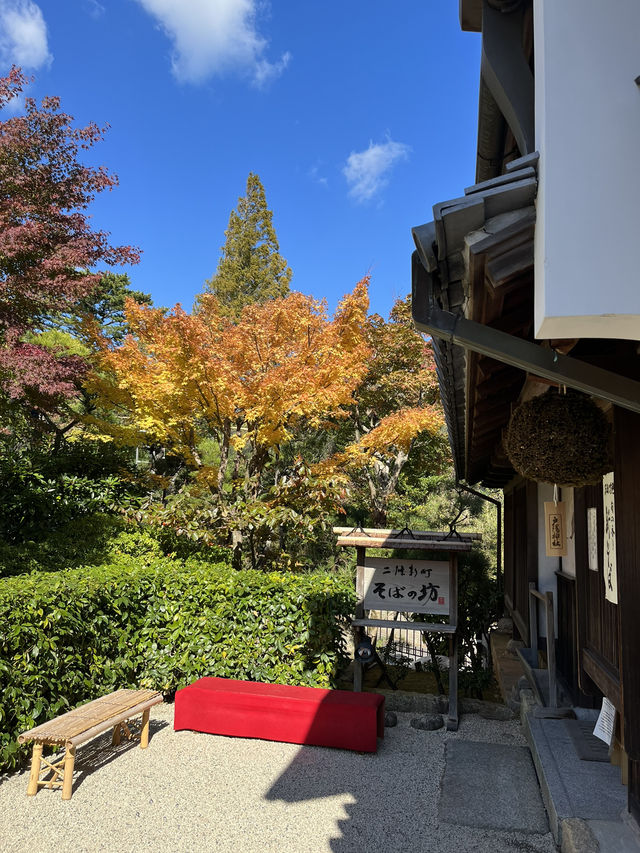 📍熱海　MOA美術館の日本庭園