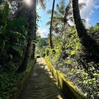 Tukad Cepung Waterfall: A Hidden Gem in Bali