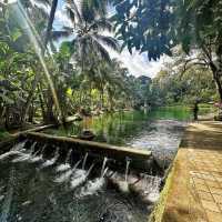 Taman Mumbul Sangeh: A Spiritual and Scenic Retreat