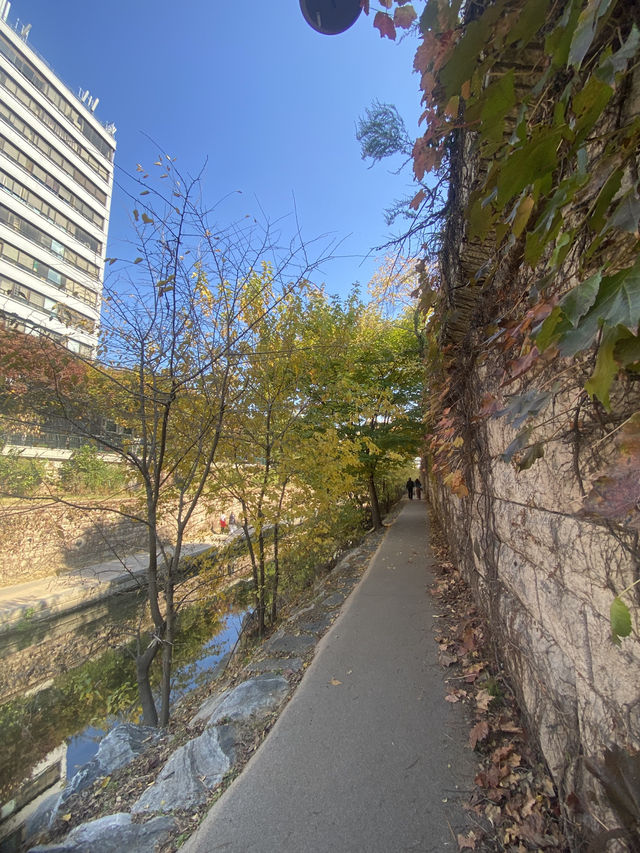 Discovering the Tranquility of Cheonggyecheon River