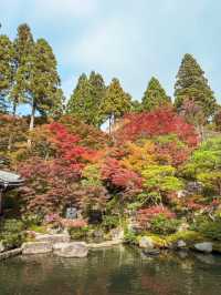 【滋賀】湖東三山最古のお寺で絶景紅葉