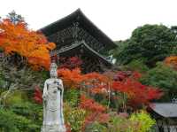【広島県】世界遺産の安芸の宮島の古刹！紅葉絶景の大聖院