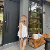 คาเฟ่ป่าสน ในเชียงใหม่