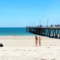 Half day trip to Glenelg beach 