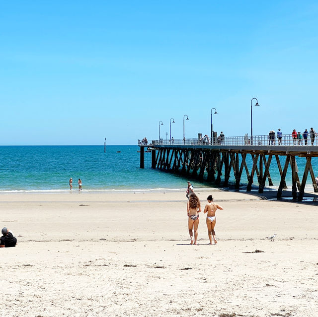 Half day trip to Glenelg beach 