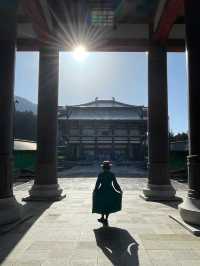 福井観光🏛️一度は見たい必見の越前大仏😳✨