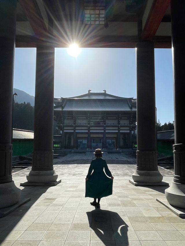 福井観光🏛️一度は見たい必見の越前大仏😳✨