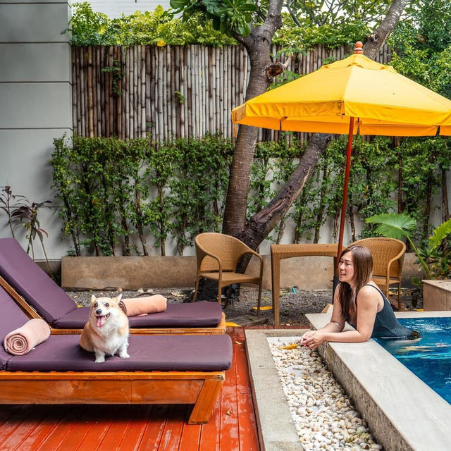 ที่พัก pet friendly ติดหาดหัวหิน