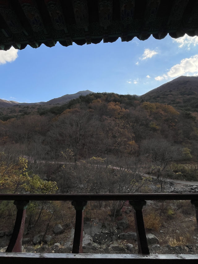 밀양에서 단풍느끼기 좋은 절