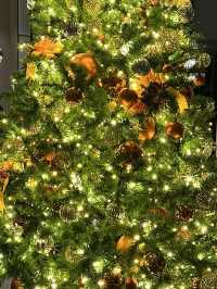 도쿄타워 옆에서 느끼는 ✨낭만적인 도쿄의 크리스마스 투어 여행지🎄