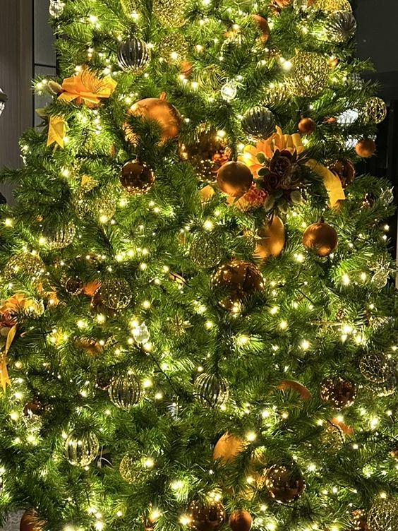 도쿄타워 옆에서 느끼는 ✨낭만적인 도쿄의 크리스마스 투어 여행지🎄