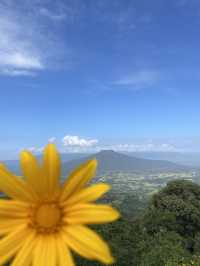 ฟูจิไทยแลนด์ จัวหวัดเลย🏔️