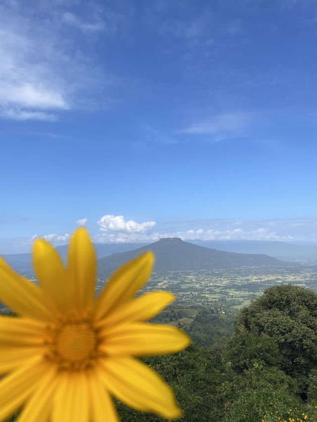 ฟูจิไทยแลนด์ จัวหวัดเลย🏔️