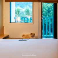 Pets friendly hotel Phuket🐶🐱