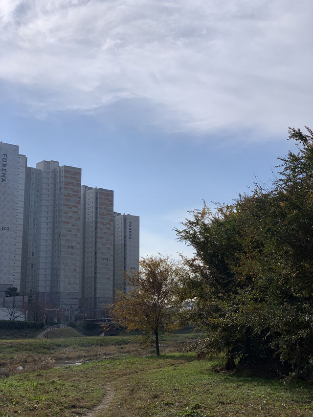 정말 좋았던 창원천 단풍놀이 