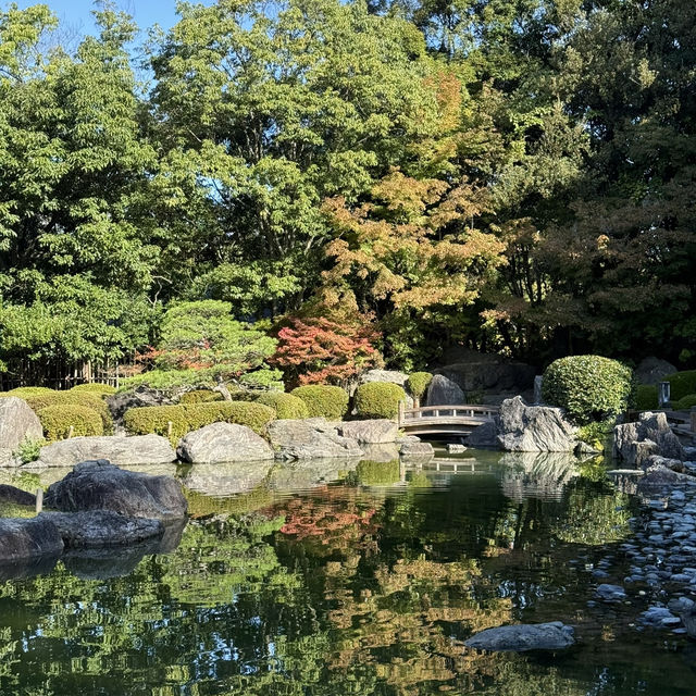 오호리 공원 일본 정원의 고즈넉한 가을 산책 🍁