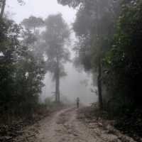 ภูตาจอ กะปง จ.พังงา