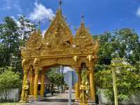 วัดป่าไทรทอง วัดสวยสีทองอร่าม