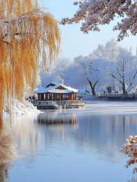Sun Island (太阳岛): A Winter Wonderland in Harbin
