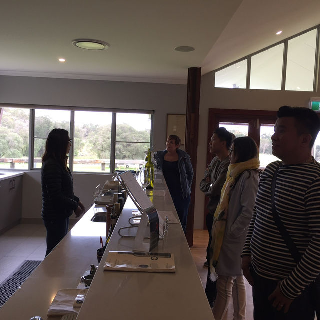 Margaret River Wine Tour: A Journey Through Australia’s Best Vineyards