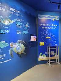 신비한 마을에 들어온 듯한 기분이 드는 아쿠아플라넷🌎