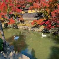 เที่ยวเมืองเก่า Kurashiki 🍁