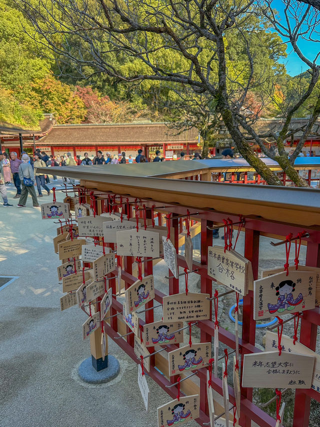 🇯🇵일본감성 제대로인 도시, 후쿠오카 근교 다자이후🇯🇵