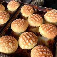 【日本・大阪🇯🇵】週に一回だけ現れるメロンパン🍈🍞