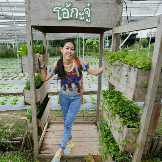 🧆 โอ้กะจู๋  