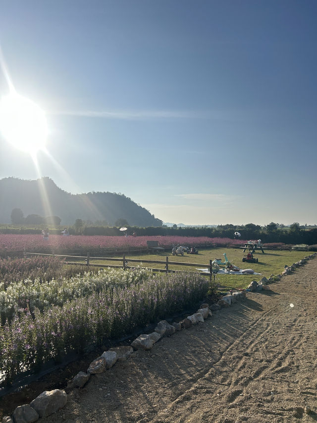 Audrey Hobby Farm เปิดปีละครั้ง!❣️