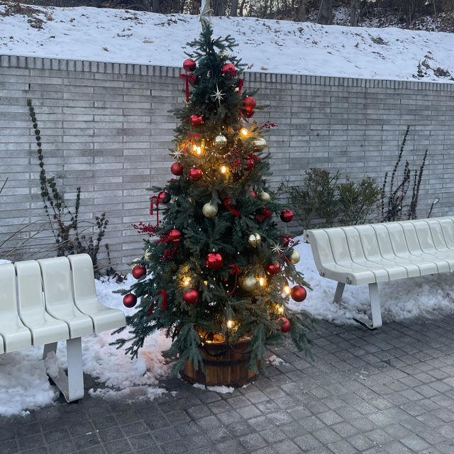 서울 근교 연말 가볼만한 곳 시몬스테라스