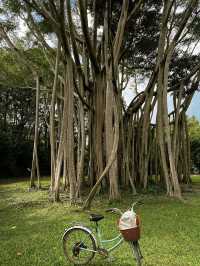 Pulau Ubin: Singapore’s Undiscovered Natural Paradise