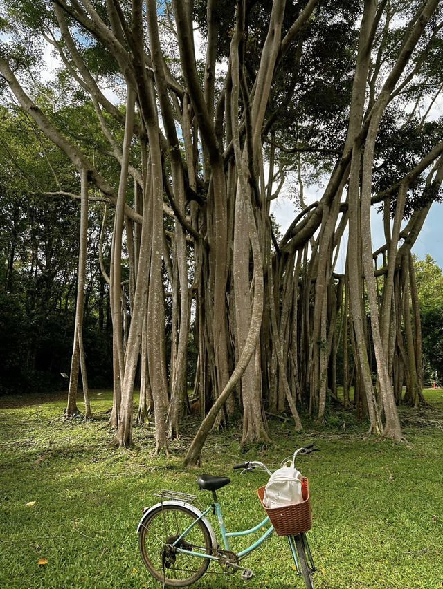 Pulau Ubin: Singapore’s Undiscovered Natural Paradise