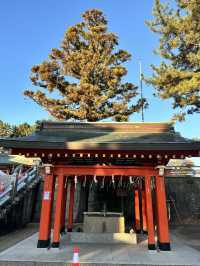 【浜松 冬の旅】 青銅製で最大級の狛犬 家康ゆかりの神社