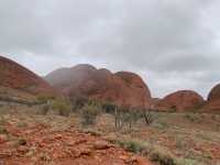 Valley of the Winds: A Kata Tjuta Adventure