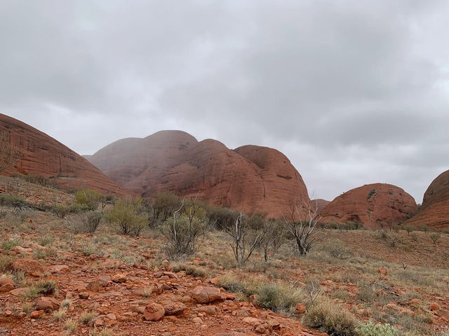 Valley of the Winds: A Kata Tjuta Adventure
