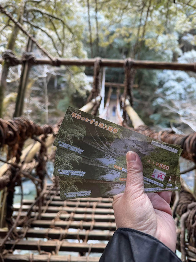四國遊之祖谷吊橋🙆🏻‍♀️必訪美景🥰刺激體驗
