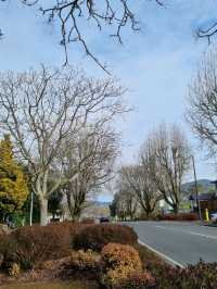 고요한 마을에서 마주한 로토루아 호수(Rotorua Lake)🇳🇿