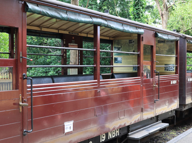 探索澳洲的懷舊之旅：Puffing Billy 小火車 🚂✨