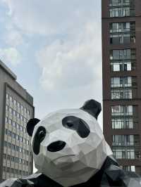 🇨🇳 Chongqing Escapade: Discovering the City of Fog, Hills, and Urban Wonders