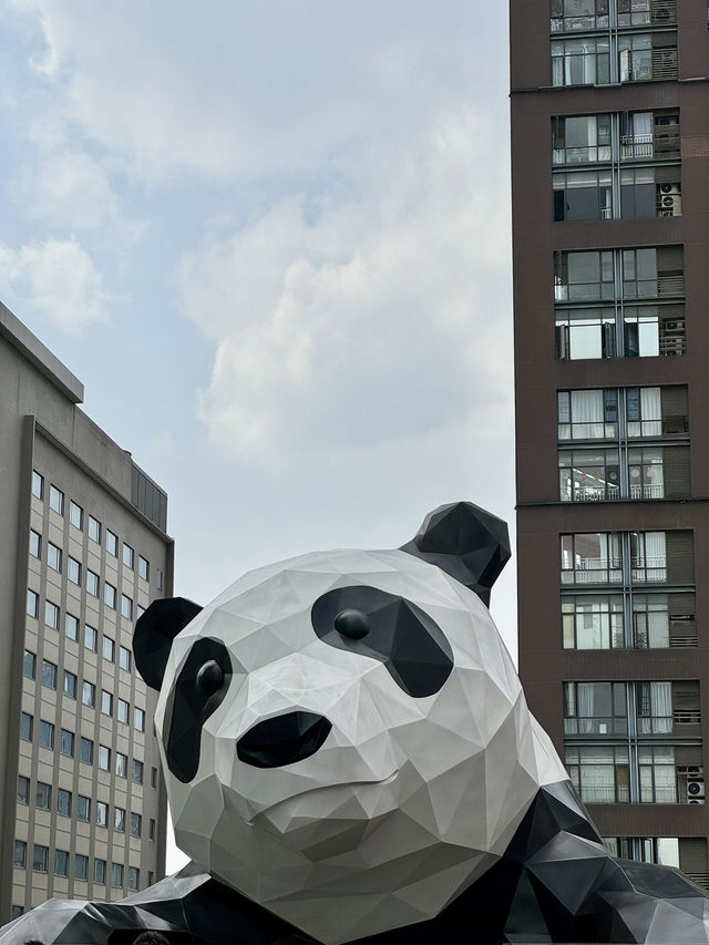 🇨🇳 Chongqing Escapade: Discovering the City of Fog, Hills, and Urban Wonders