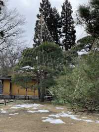 【福島×冬の旅】鶴ヶ城内にある千利休の子・小庵が建てたと言われる茶室