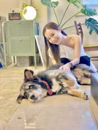 จิบกาแฟ พร้อมเล่นกับเจ้า 4 ขา ที่ Neighbor Dog