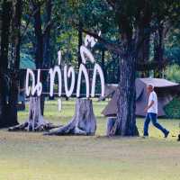 ทุ่งกิ๊ก - อุทยานแห่งชาติแม่ปิง