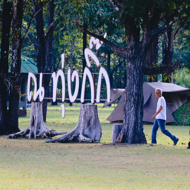 ทุ่งกิ๊ก - อุทยานแห่งชาติแม่ปิง