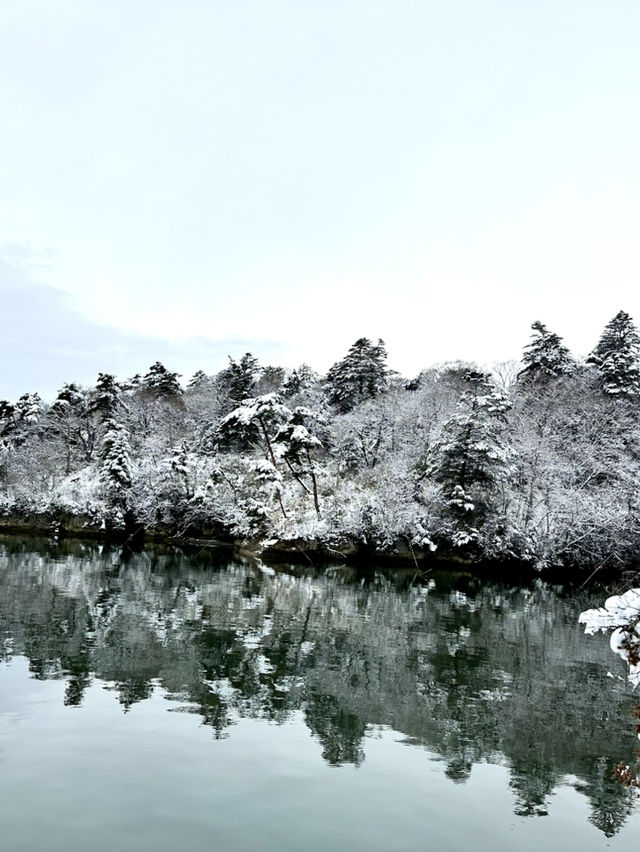 【宮城×冬の旅】陸から海に突き出た天然の桟橋