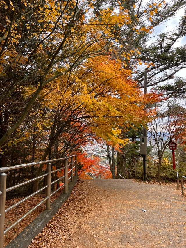 【山梨】ミシュランの表紙にもなった絶景